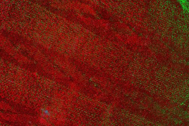 Boşluk duvar kağıdını, grunge arkaplanını, soyut renkli doku arkaplanını kopyala