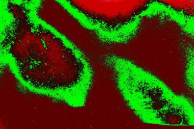 Boşluk duvar kağıdını, grunge arkaplanını, soyut renkli doku arkaplanını kopyala