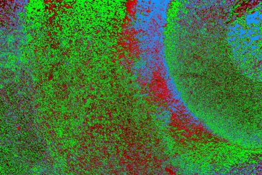 Boşluk duvar kağıdını, grunge arkaplanını, soyut renkli doku arkaplanını kopyala