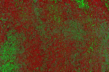 Boşluk duvar kağıdını, grunge arkaplanını, soyut renkli doku arkaplanını kopyala