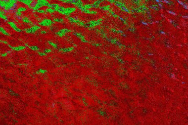 Boşluk duvar kağıdını, grunge arkaplanını, soyut renkli doku arkaplanını kopyala