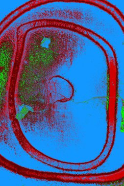  grunge arkaplanı, boşluk duvar kağıdını kopyala, soyut renkli doku arkaplanı