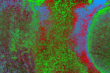 Boşluk duvar kağıdını, grunge arkaplanını, soyut renkli doku arkaplanını kopyala