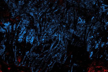 Soyut renk dokusu, grunge arkaplanı, boşluk duvar kağıdını kopyala