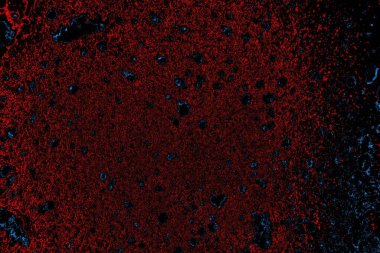 Soyut arkaplan. Monokrom dokusu. Resim siyah tonları da içerir.