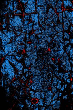 Soyut renk dokusu, grunge arkaplanı, boşluk duvar kağıdını kopyala