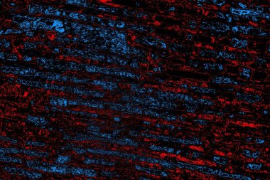 Soyut arkaplan. Monokrom dokusu. Resim siyah tonları da içerir.