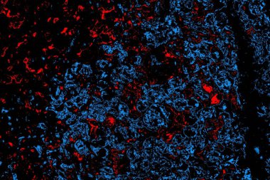 Soyut renk dokusu, grunge arkaplanı, boşluk duvar kağıdını kopyala