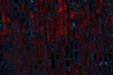 Soyut pejmürde bir doku. Asit grunge arkaplanı, metin veya reklamınız için boşluk resmini kopyala