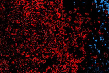 Soyut arkaplan. Monokrom dokusu. Resim siyah tonları da içerir.