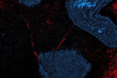 Soyut renk dokusu, grunge arkaplanı, boşluk duvar kağıdını kopyala