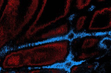 Soyut arkaplan renkli modern desen 