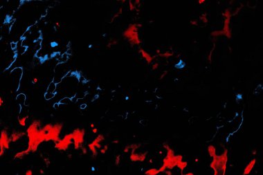 Kırmızı ve mavi renkli, soyut, esmer, pejmürde bir doku. Grunge arkaplanı, metin veya reklam için boşluk resmini kopyala