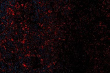 Soyut pejmürde bir doku. Asit grunge arkaplanı, metin veya reklamınız için boşluk resmini kopyala