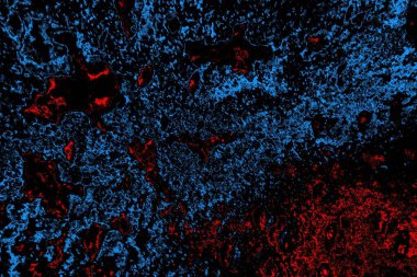 Soyut arkaplan. Monokrom dokusu. Resim siyah tonları da içerir.