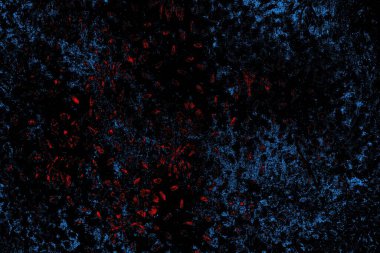 Soyut renk dokusu, grunge arkaplanı, boşluk duvar kağıdını kopyala