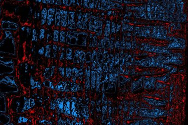 Soyut renk dokusu, grunge arkaplanı, boşluk duvar kağıdını kopyala