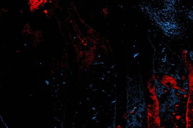 Kırmızı ve mavi renkli, soyut, esmer, pejmürde bir doku. Grunge arkaplanı, metin veya reklam için boşluk resmini kopyala