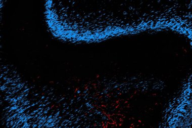 Soyut renk dokusu, grunge arkaplanı, boşluk duvar kağıdını kopyala