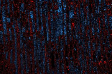 Soyut arkaplan. Monokrom dokusu. Resim siyah tonları da içerir.