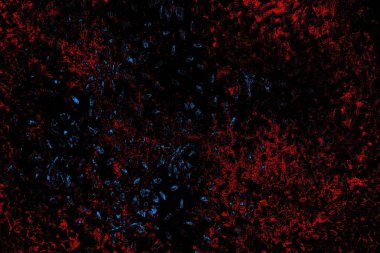 Soyut arkaplan. Monokrom dokusu. Resim siyah tonları da içerir.