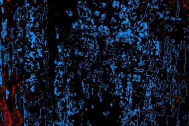 Soyut renk dokusu, grunge arkaplanı, boşluk duvar kağıdını kopyala