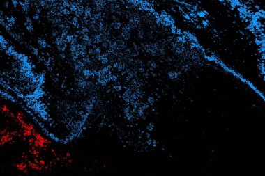 Soyut arkaplan. Monokrom dokusu. Resim siyah tonları da içerir.