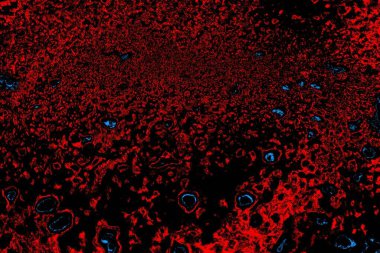 Soyut arkaplan. Monokrom dokusu. Resim siyah tonları da içerir.