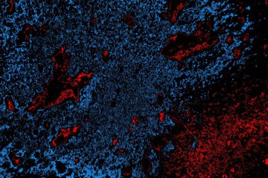 Soyut arkaplan. Monokrom dokusu. Resim siyah tonları da içerir.