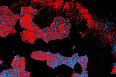 Soyut pejmürde bir doku. Asit grunge arkaplanı, metin veya reklamınız için boşluk resmini kopyala