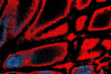 Soyut pejmürde bir doku. Asit grunge arkaplanı, metin veya reklamınız için boşluk resmini kopyala