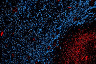 Soyut arkaplan. Monokrom dokusu. Resim siyah tonları da içerir.