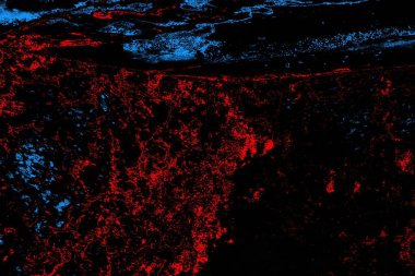 Soyut arkaplan. Monokrom dokusu. Resim siyah tonları da içerir.