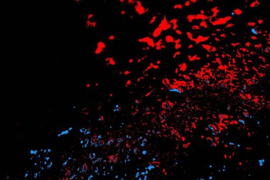 Kırmızı ve mavi renkli, soyut, esmer, pejmürde bir doku. Grunge arkaplanı, metin veya reklam için boşluk resmini kopyala