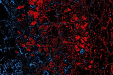 Soyut pejmürde bir doku. Asit grunge arkaplanı, metin veya reklamınız için boşluk resmini kopyala