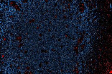 Soyut arkaplan. Monokrom dokusu. Resim siyah tonları da içerir.