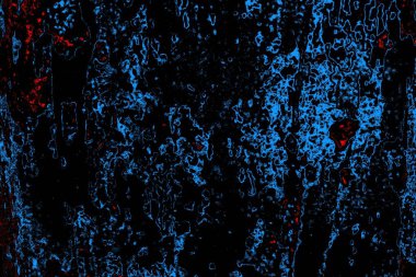 Soyut renk dokusu, grunge arkaplanı, boşluk duvar kağıdını kopyala