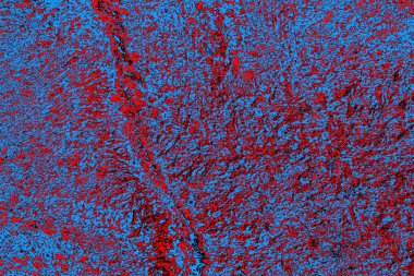 Soyut kırmızı ve mavi renkli pejmürde bir doku. Grunge arkaplanı, metin veya reklam için boşluk resmini kopyala