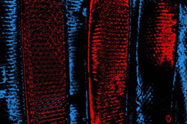 Soyut renk dokusu, grunge arkaplanı, boşluk duvar kağıdını kopyala