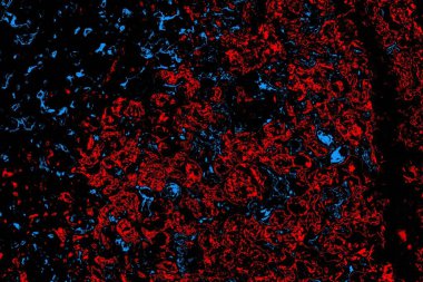 Soyut çılgın doku. koyu asit grunge arkaplanı, boşluk duvar kağıdını kopyala 