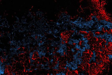 Soyut arkaplan. Monokrom dokusu. Resim siyah tonları da içerir.