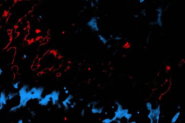 Soyut pejmürde bir doku. Asit grunge arkaplanı, metin veya reklamınız için boşluk resmini kopyala