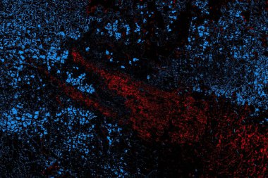 Soyut arkaplan. Monokrom dokusu. Resim siyah tonları da içerir.