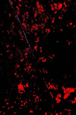 Kırmızı ve mavi renkli, soyut, esmer, pejmürde bir doku. Grunge arkaplanı, metin veya reklam için boşluk resmini kopyala