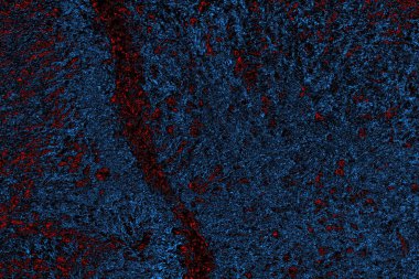 Soyut renk dokusu, grunge arkaplanı, boşluk duvar kağıdını kopyala