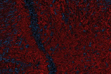 Soyut çılgın doku. koyu asit grunge arkaplanı, boşluk duvar kağıdını kopyala 