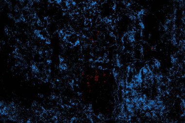 Soyut pejmürde bir doku. Asit grunge arkaplanı, metin veya reklamınız için boşluk resmini kopyala