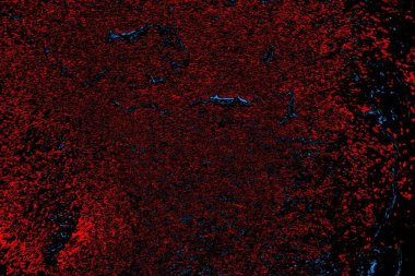 Soyut renk dokusu, grunge arkaplanı, boşluk duvar kağıdını kopyala