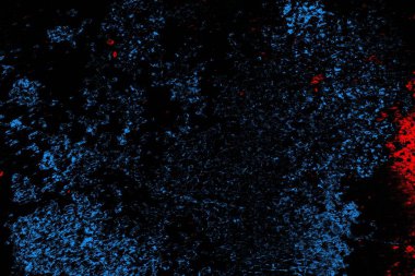 Soyut arkaplan. Monokrom dokusu. Resim siyah tonları da içerir.