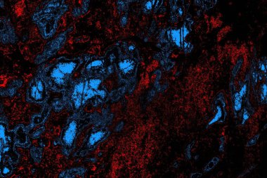 Soyut arkaplan. Monokrom dokusu. Resim siyah tonları da içerir.